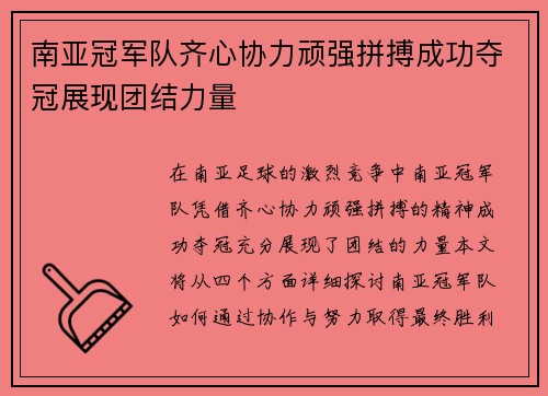 南亚冠军队齐心协力顽强拼搏成功夺冠展现团结力量